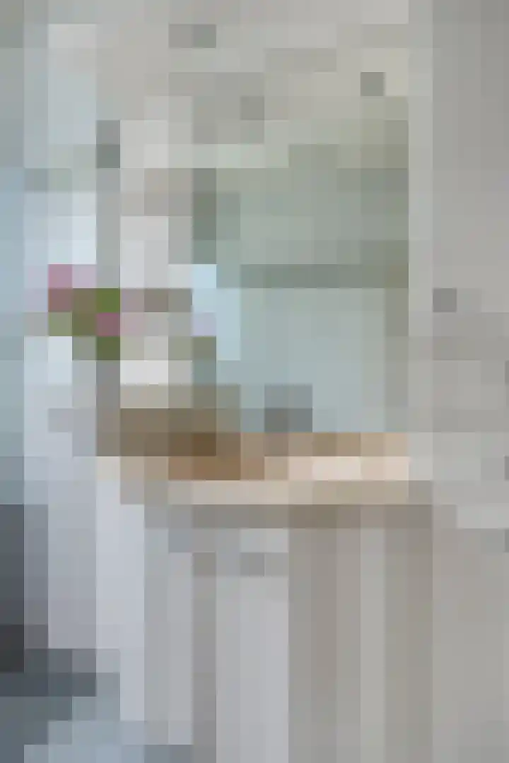 De Donk 20 Schaijk thumbnail 38