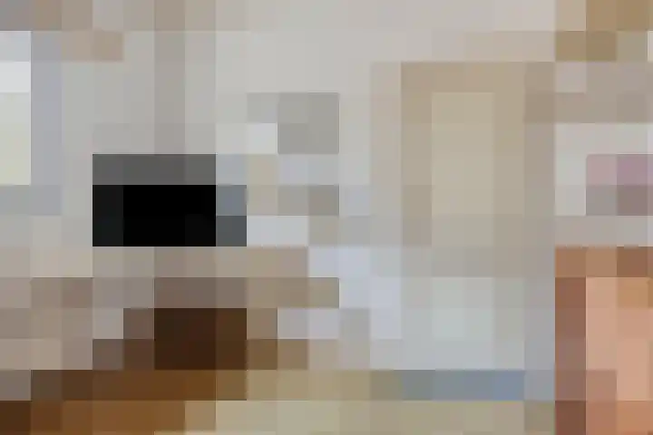 De Donk 20 Schaijk thumbnail 42