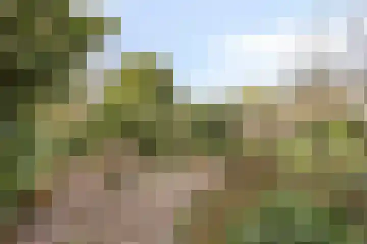 De Donk 20 Schaijk thumbnail 51
