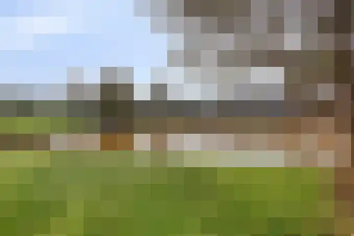 De Donk 20 Schaijk thumbnail 53
