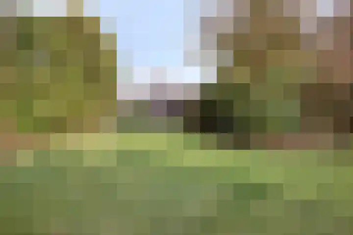 De Donk 20 Schaijk thumbnail 56