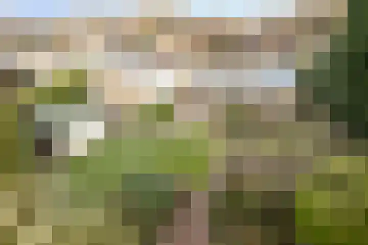 De Donk 20 Schaijk thumbnail 58