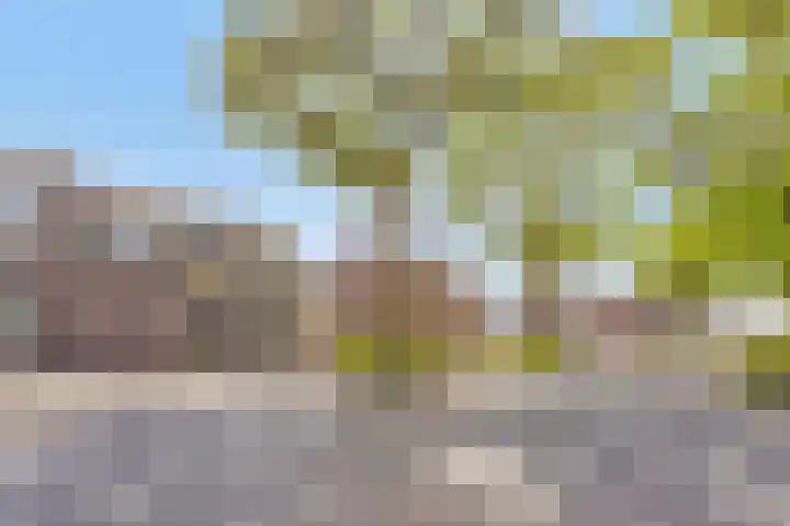 De Donk 20 Schaijk thumbnail 59