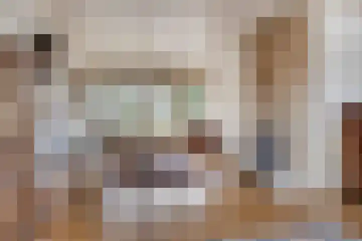 De Donk 20 Schaijk thumbnail 6