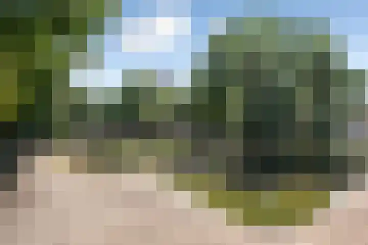 De Donk 20 Schaijk thumbnail 60