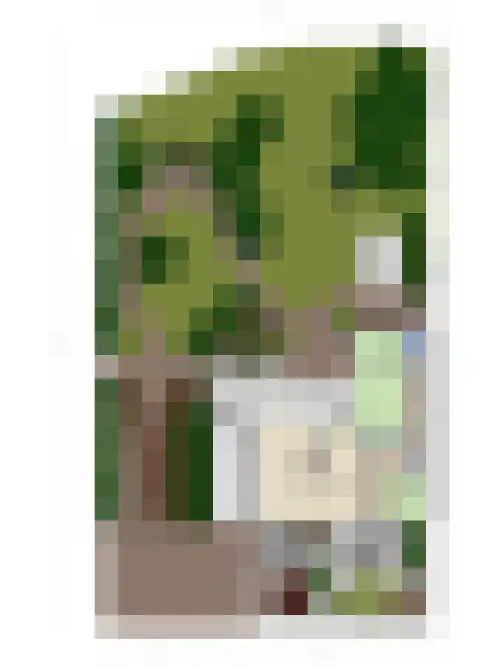 De Donk 20 Schaijk thumbnail 63