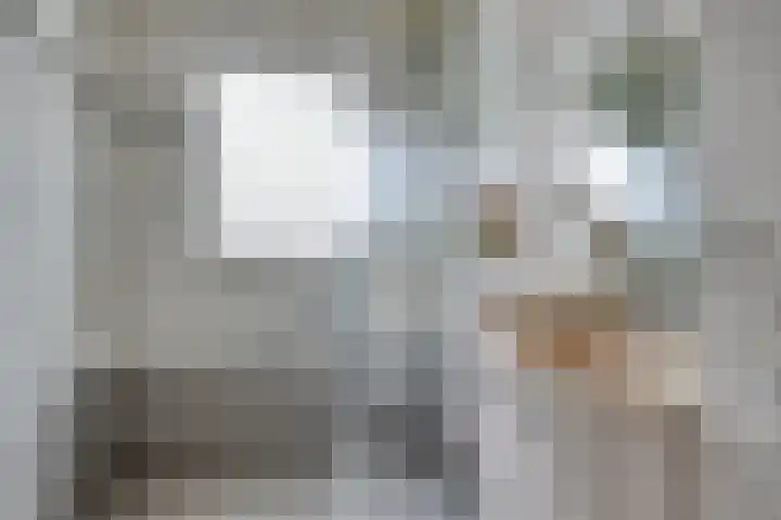 De Donk 20 Schaijk thumbnail 9