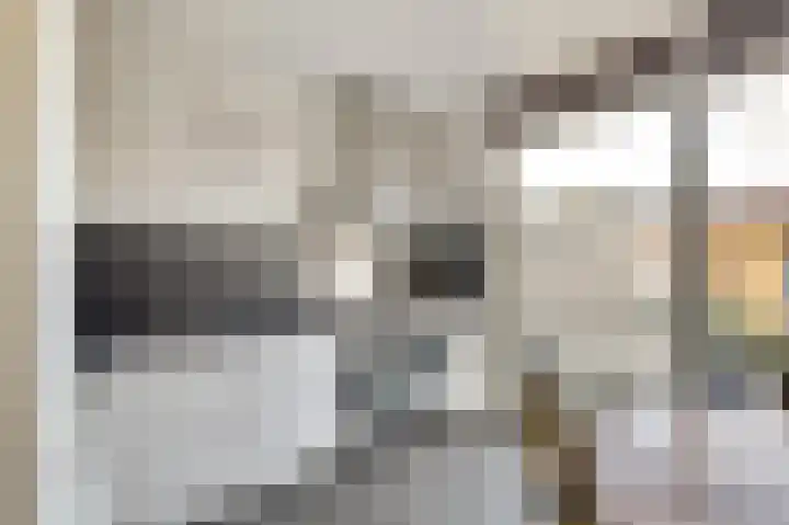 De Dorsvlegel 23 Made thumbnail 10