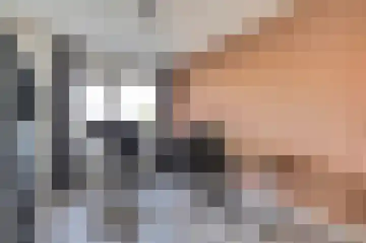 De Dorsvlegel 23 Made thumbnail 19