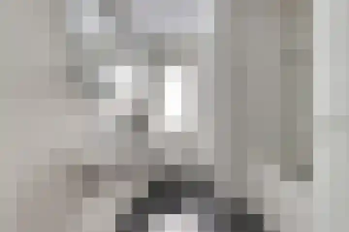 De Dorsvlegel 23 Made thumbnail 21