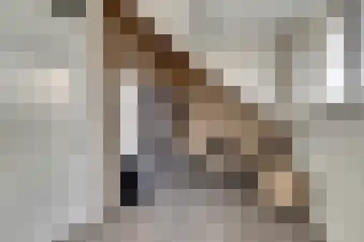 De Dorsvlegel 23 Made thumbnail 24