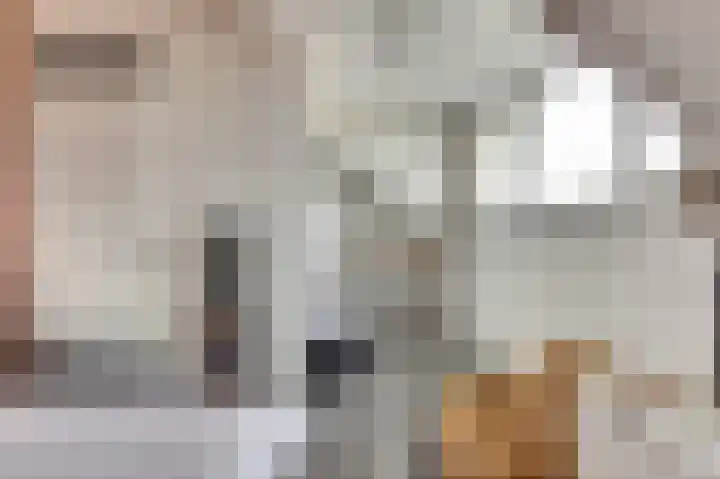 De Dorsvlegel 23 Made thumbnail 25