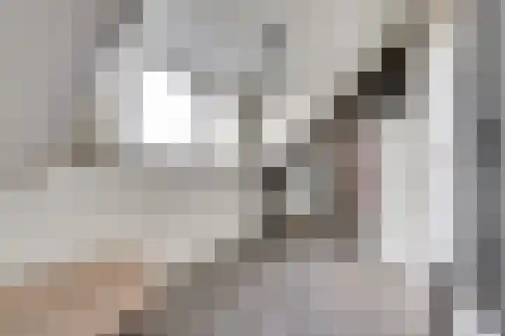 De Dorsvlegel 23 Made thumbnail 26