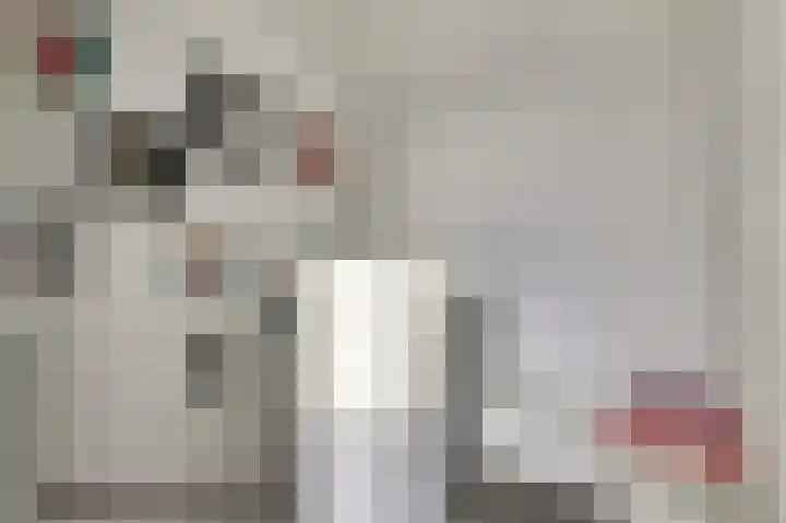 De Dorsvlegel 23 Made thumbnail 27