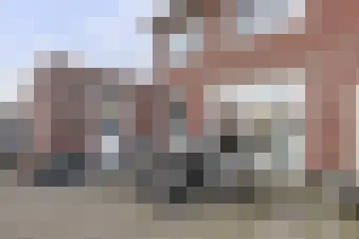 De Dorsvlegel 23 Made thumbnail 28
