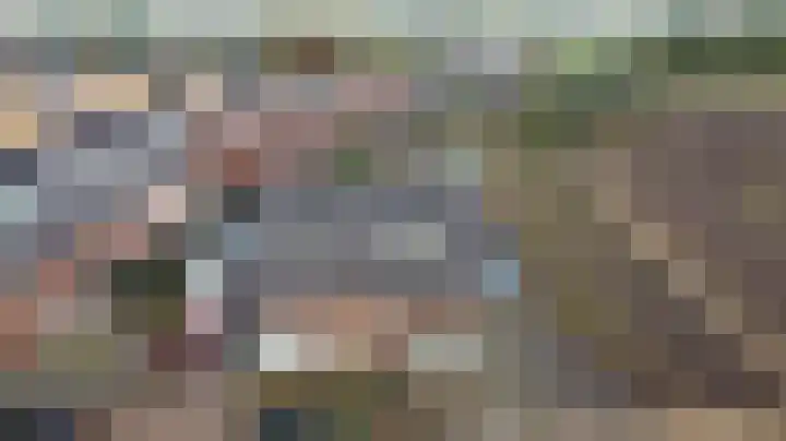 De Dorsvlegel 23 Made thumbnail 31