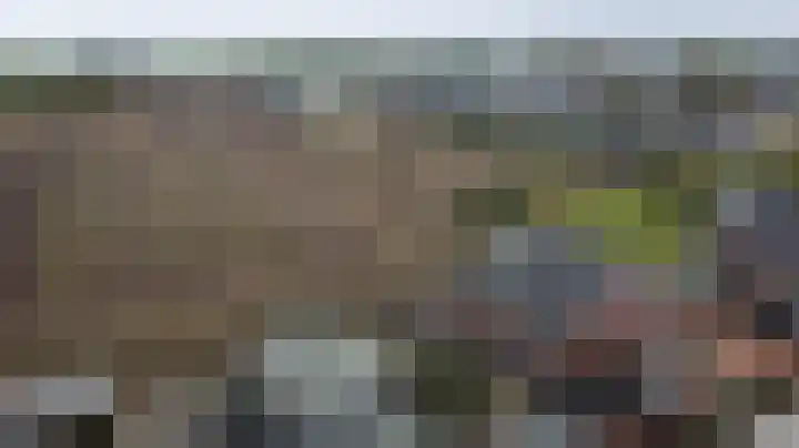 De Dorsvlegel 23 Made thumbnail 33