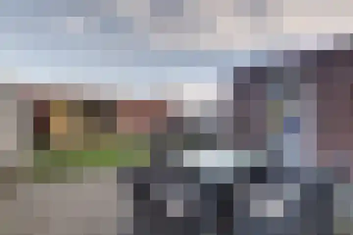 De Dorsvlegel 23 Made thumbnail 6