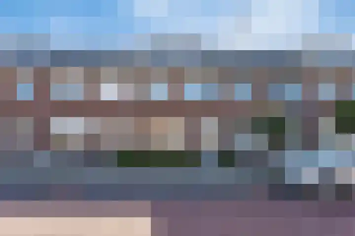 De Dorsvlegel 6 dans Made