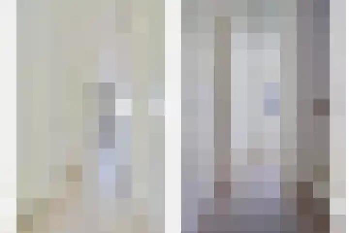 De Dorsvlegel 6 Made thumbnail 11