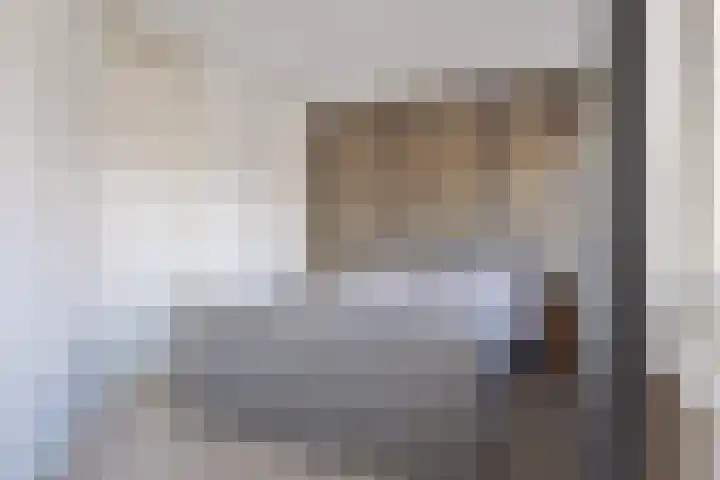 De Dorsvlegel 6 Made thumbnail 12