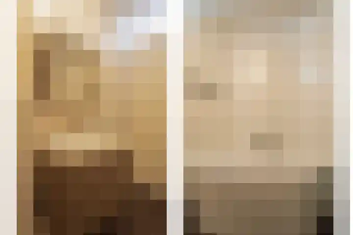 De Dorsvlegel 6 Made thumbnail 15