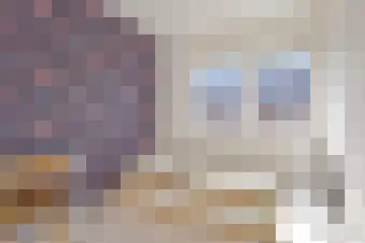 De Dorsvlegel 6 Made thumbnail 16