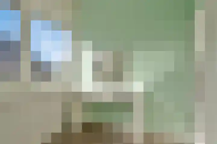 De Dorsvlegel 6 Made thumbnail 18