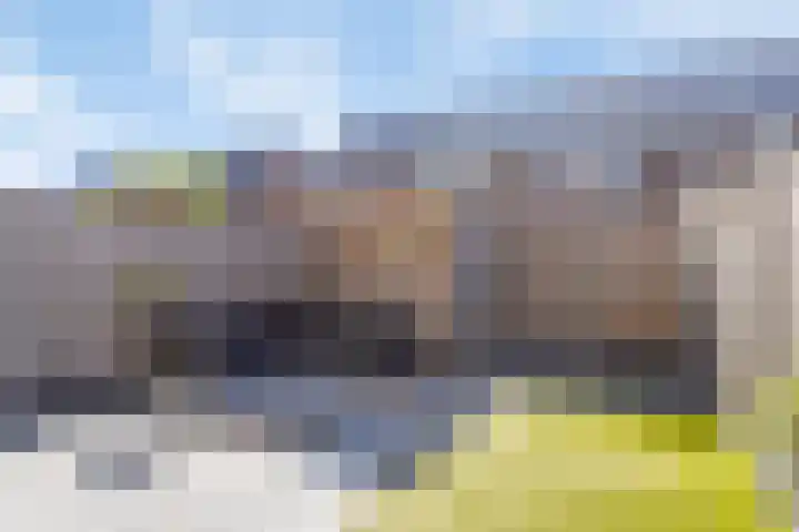 De Dorsvlegel 6 Made thumbnail 23