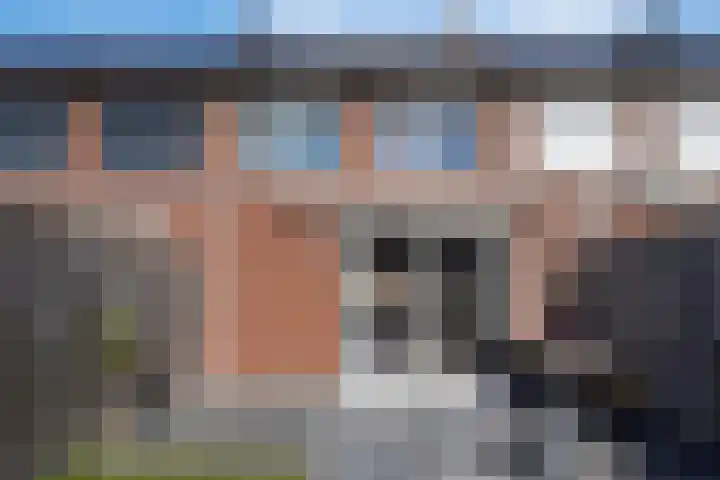 De Dorsvlegel 6 Made thumbnail 25