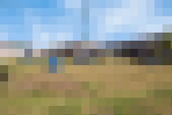 De Dorsvlegel 6 Made thumbnail 26