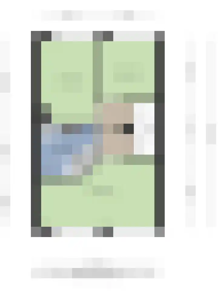 De Dorsvlegel 6 Made thumbnail 30