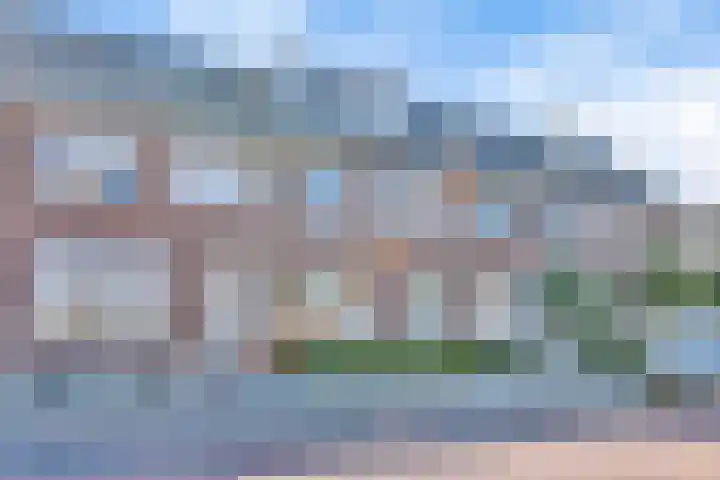 De Dorsvlegel 6 Made thumbnail 4