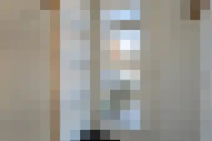De Dorsvlegel 6 Made thumbnail 6