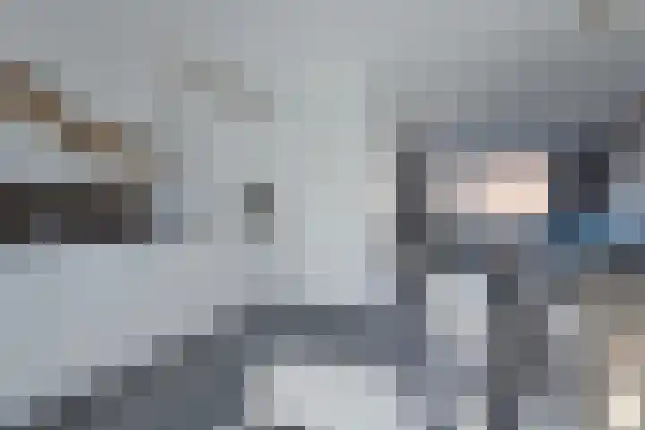 De Dorsvlegel 6 Made thumbnail 9