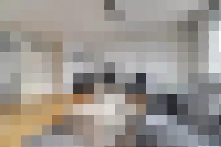 De Draai 11 Arnhem thumbnail 11