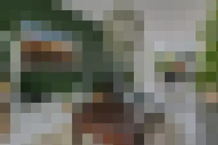 De Draai 11 Arnhem thumbnail 36