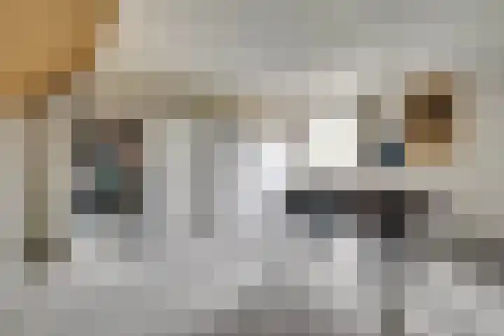 De Draai 11 Arnhem thumbnail 38