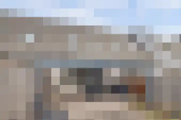 De Draai 11 Arnhem thumbnail 44