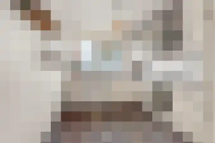 De Draai 31 Arnhem thumbnail 11