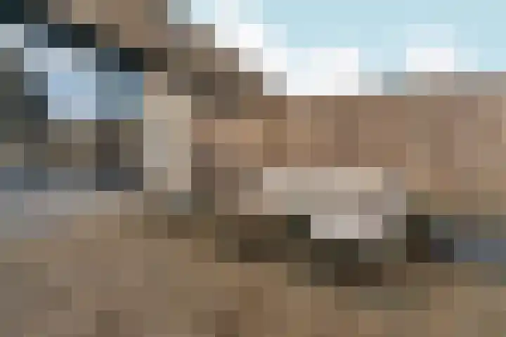 De Draai 31 Arnhem thumbnail 32
