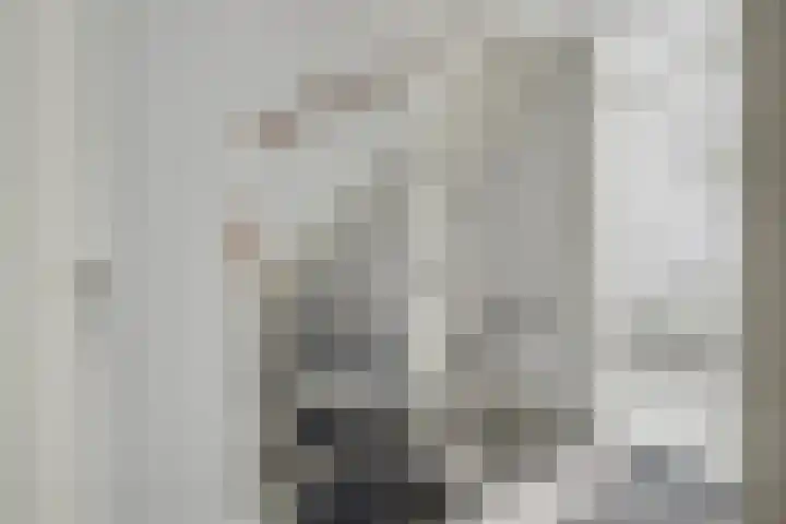 De Draai 7 Arnhem thumbnail 18