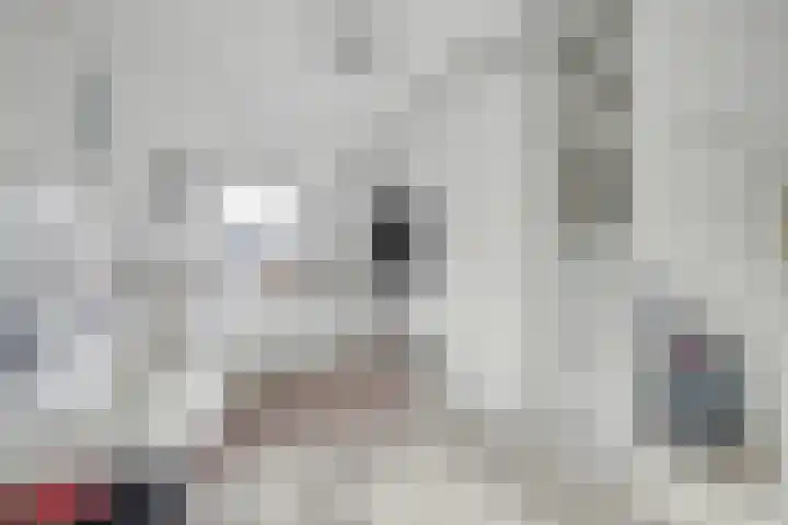 De Draai 7 Arnhem thumbnail 19