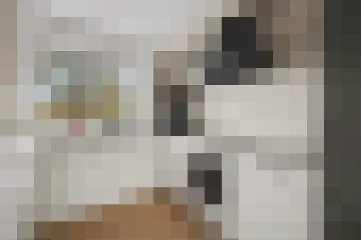 De Draai 7 Arnhem thumbnail 4