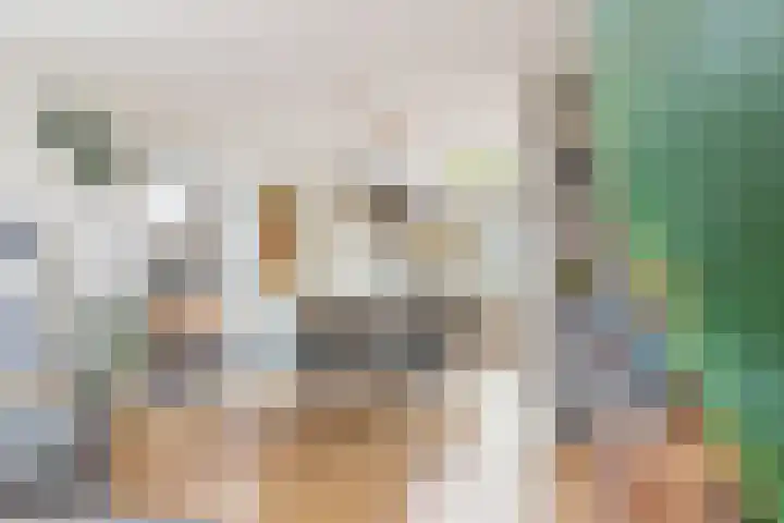 De Dreef 12 Stadskanaal thumbnail 21
