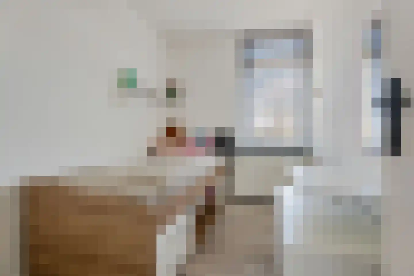 De Dreef 12 Stadskanaal thumbnail 25