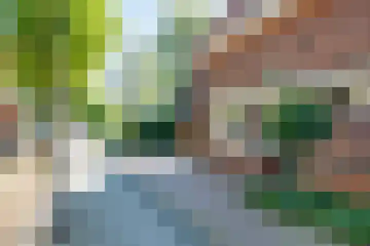 De Dreef 12 Stadskanaal thumbnail 37