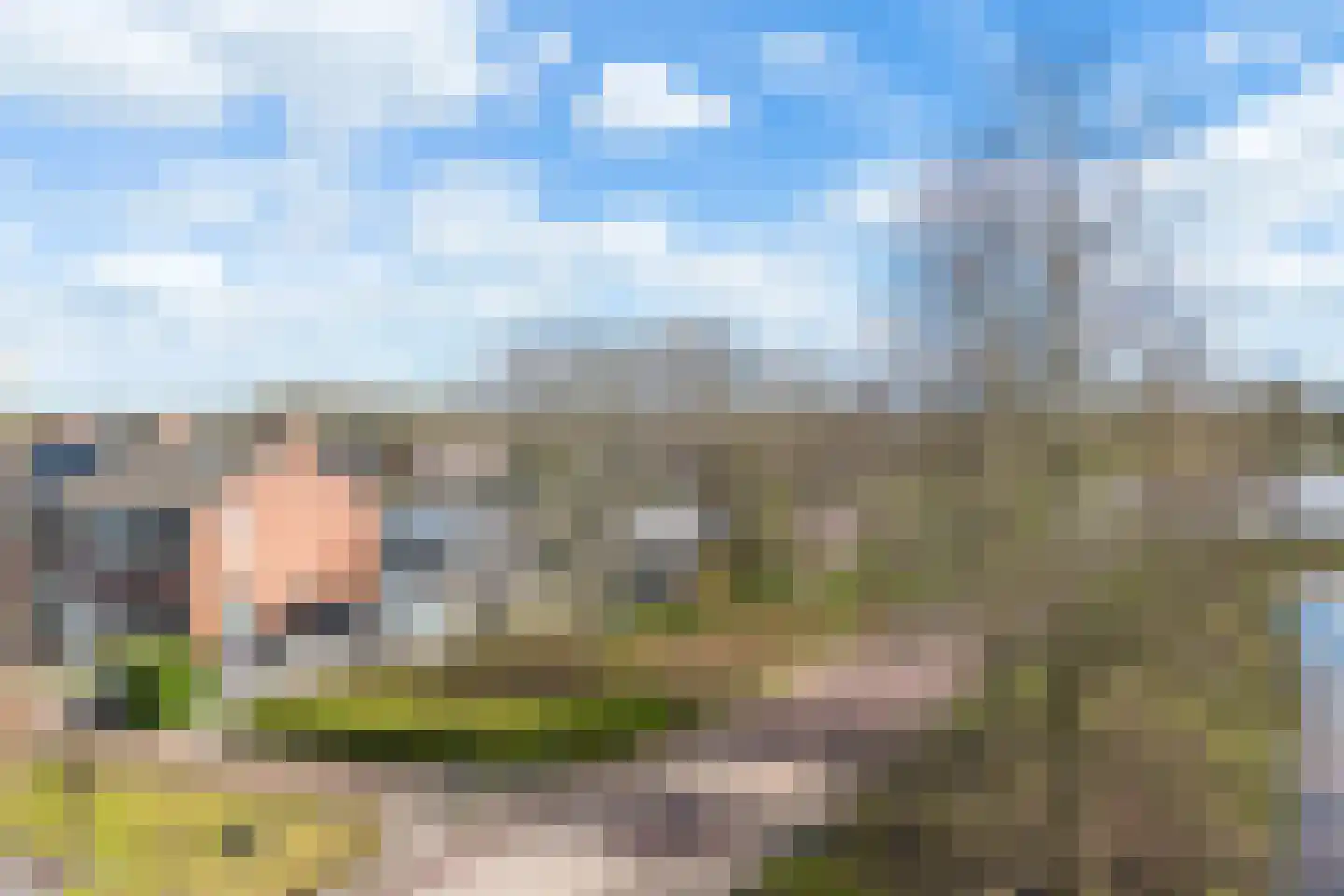 De Dreef 12 Stadskanaal thumbnail 39