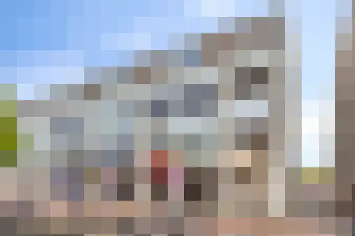 De Dreef 12 Stadskanaal thumbnail 6