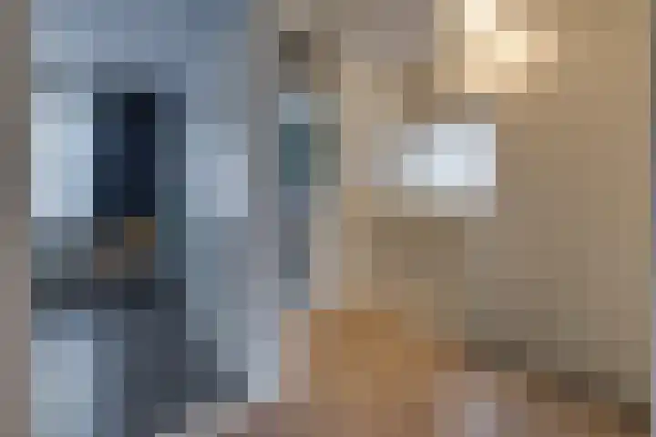 De Dreef 20 Stadskanaal thumbnail 21